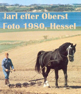 Jarl demonstrerer markarbejde på herregården Hessel, der er et landbrugs-museum.
