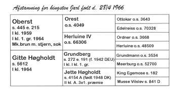Afstamning for oldenborg-hingsten Jarl