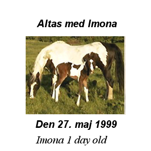 Imona newborn 1999